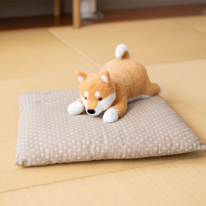 makuake.com/project/omonui/
おはようございます🐶
今日も1日頑張っていきましょー🌈✨