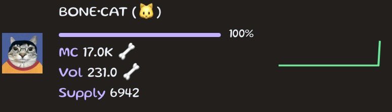 Bone Cat 🐱 tweet media