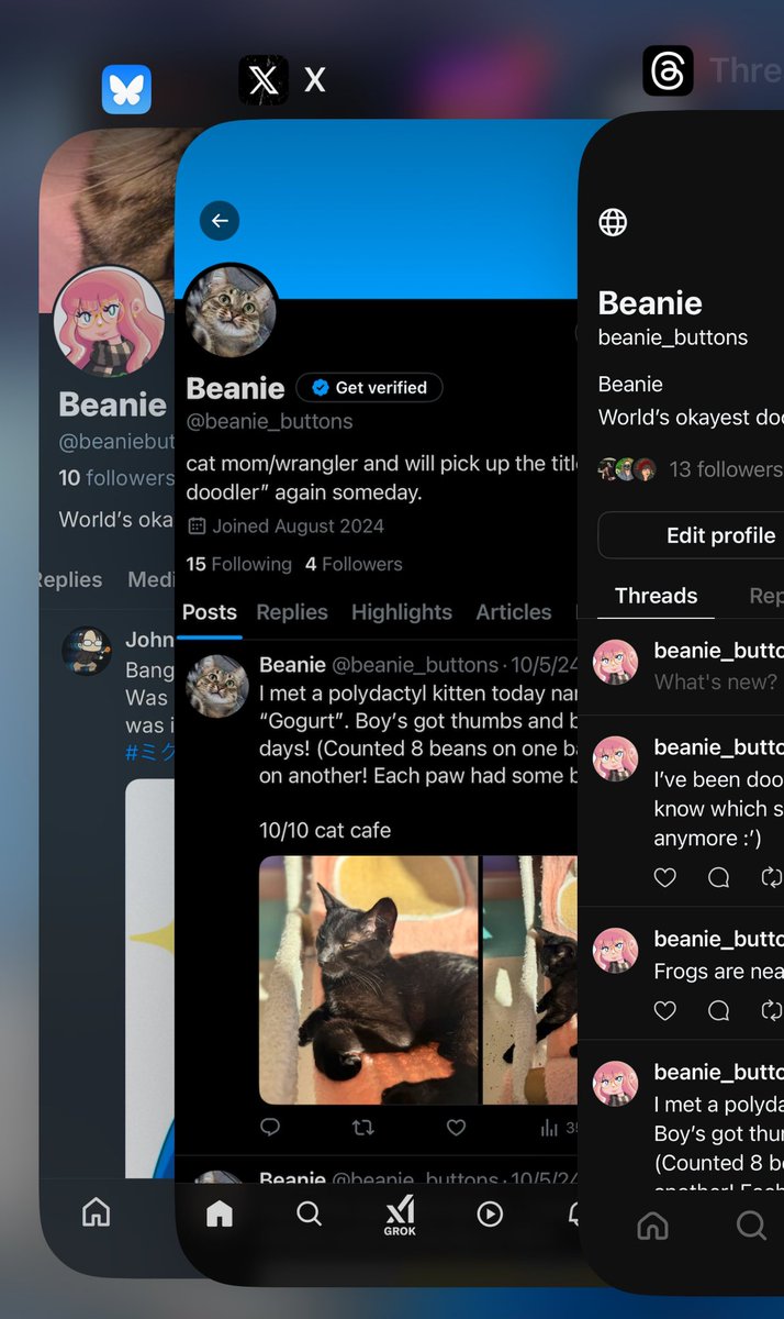 Beanie (@beanie_buttons) / Posts / X