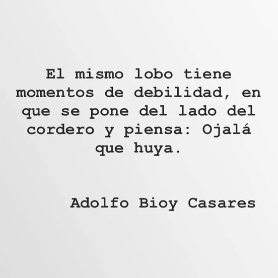 literland (@literlandweb1) on Twitter photo 