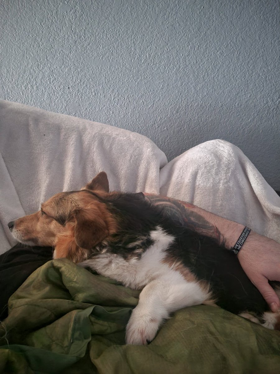 DunnyThiccc's tweet image. My sweetest Rin has moved on today. Rest well little one. You loved me through so much