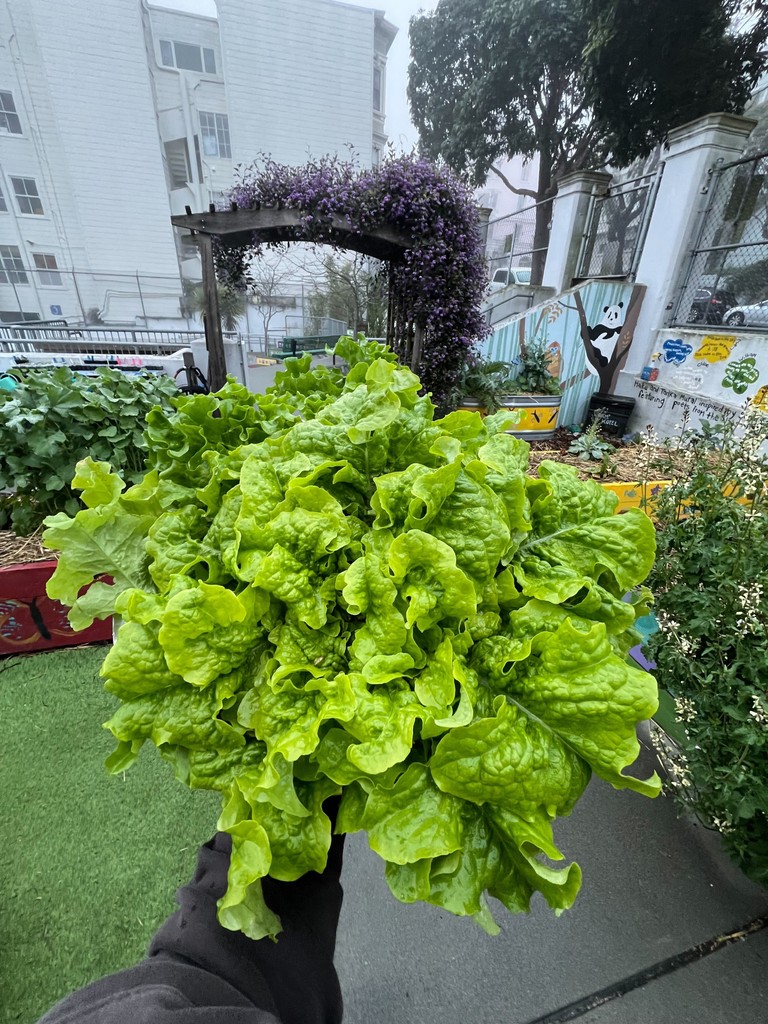 CommunityGrows tweet media