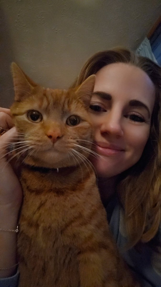 I can't believe it's already been 2 years since we adopted my little boy from <a href="/BirminghamCP/">Bham Cats Protection</a>
He's the most happy &amp; spoilt kitty there ever was.
Happy 2nd birthday Thebes!
🐈🥰🎉🎁