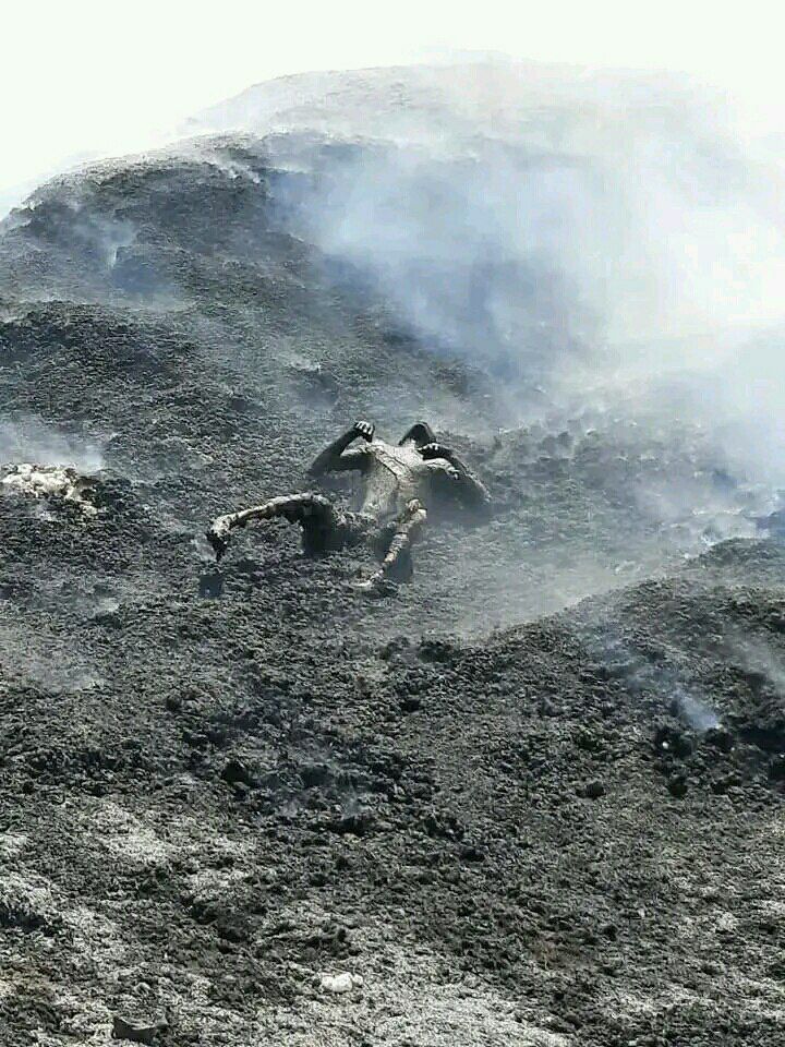 yebet_sira's tweet photo. Reports of heinous crimes against humanity are emerging as @AbiyAhmedAli's forces carry out their campaign of violence. It's time for the international community to take action. 
#AmharaGenocide #WarOnAmhara @amnestyusa @AsstSecStateAF @EUinEthiopia @cnni @USEmbassyAddis @USAmbUN