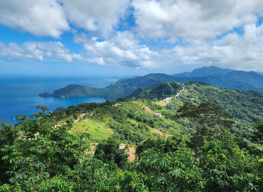 March is the perfect time to unwind in nature and explore Trinidad’s rich biodiversity – from its unique flora and fauna to majestic landscapes that set it apart in the Caribbean. 

Here's a look at the featured eco-tours this month:

📍 The Paramin Experience (March 8, 2:00 PM –
