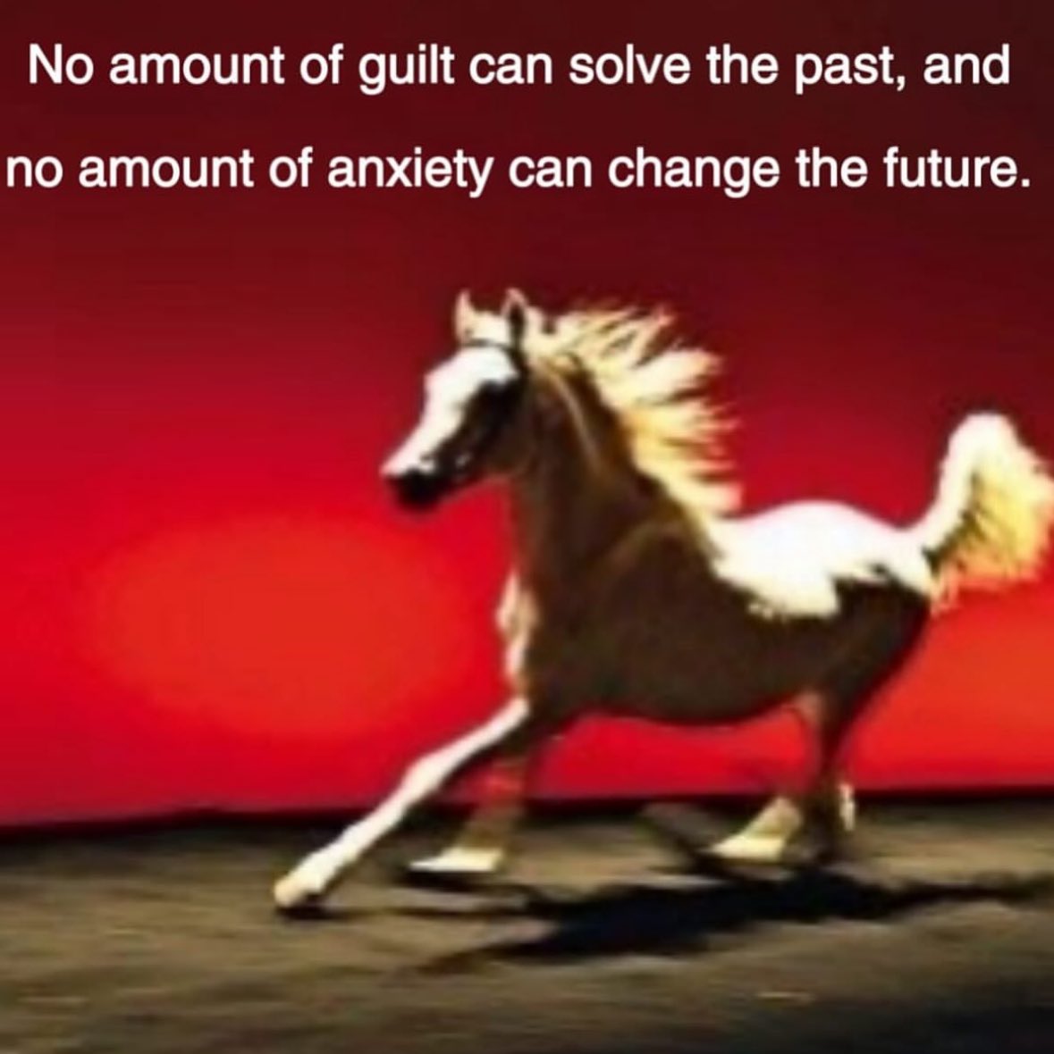 northstardoll's tweet image. 