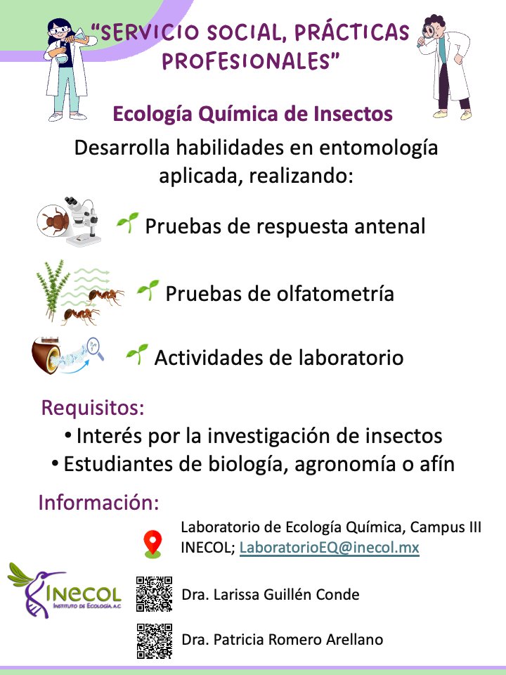 Inecol_mx's tweet photo. ¡Únete al Laboratorio de Ecología Química de Insectos! 🌱🪲
Realiza tu s social o prác profe con nosotros.👩🏻‍🔬🧑🏻‍🔬
Explora  la entomología aplicada 🔬 y contribuye a proyectos de investigación innovadores 📊.
¿Te interesa? 
patricia.romero@inecol.mx 
LaboratorioEQ@inecol.mx https://t.co/SdVzpfx8SE