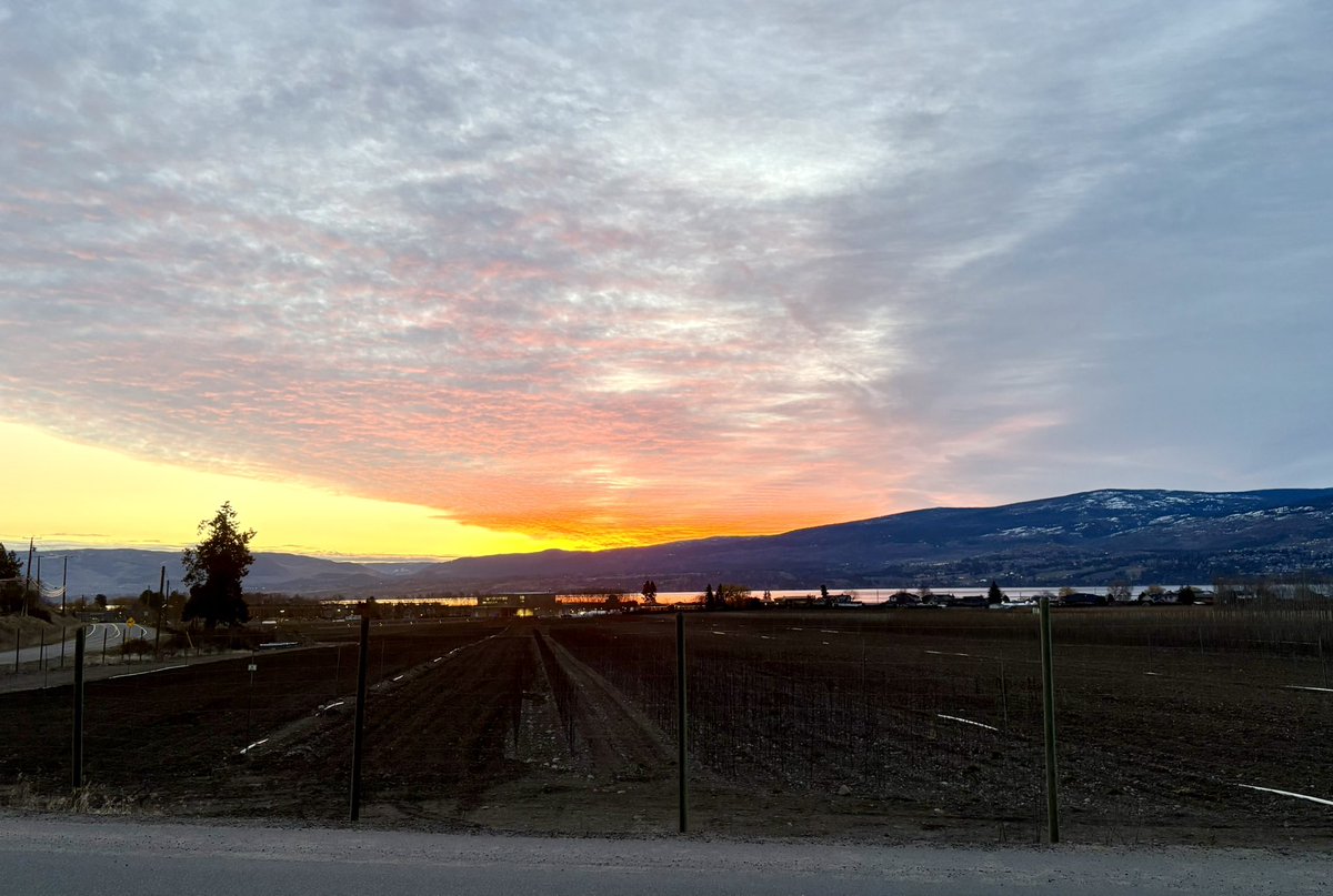 pynappels's tweet photo. Nice morning today https://t.co/J9plsF3eDR