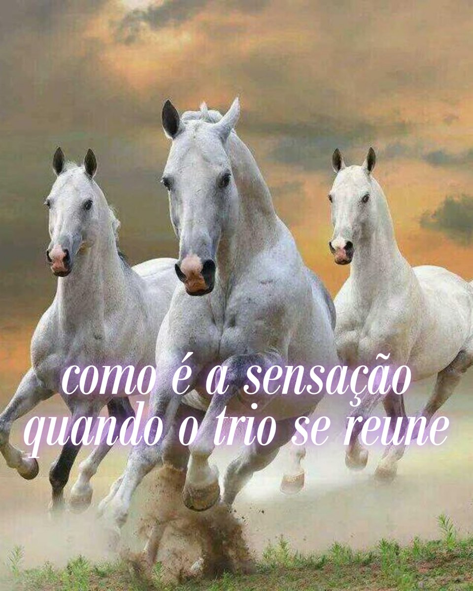 mel (@meltedvideos) on Twitter photo 