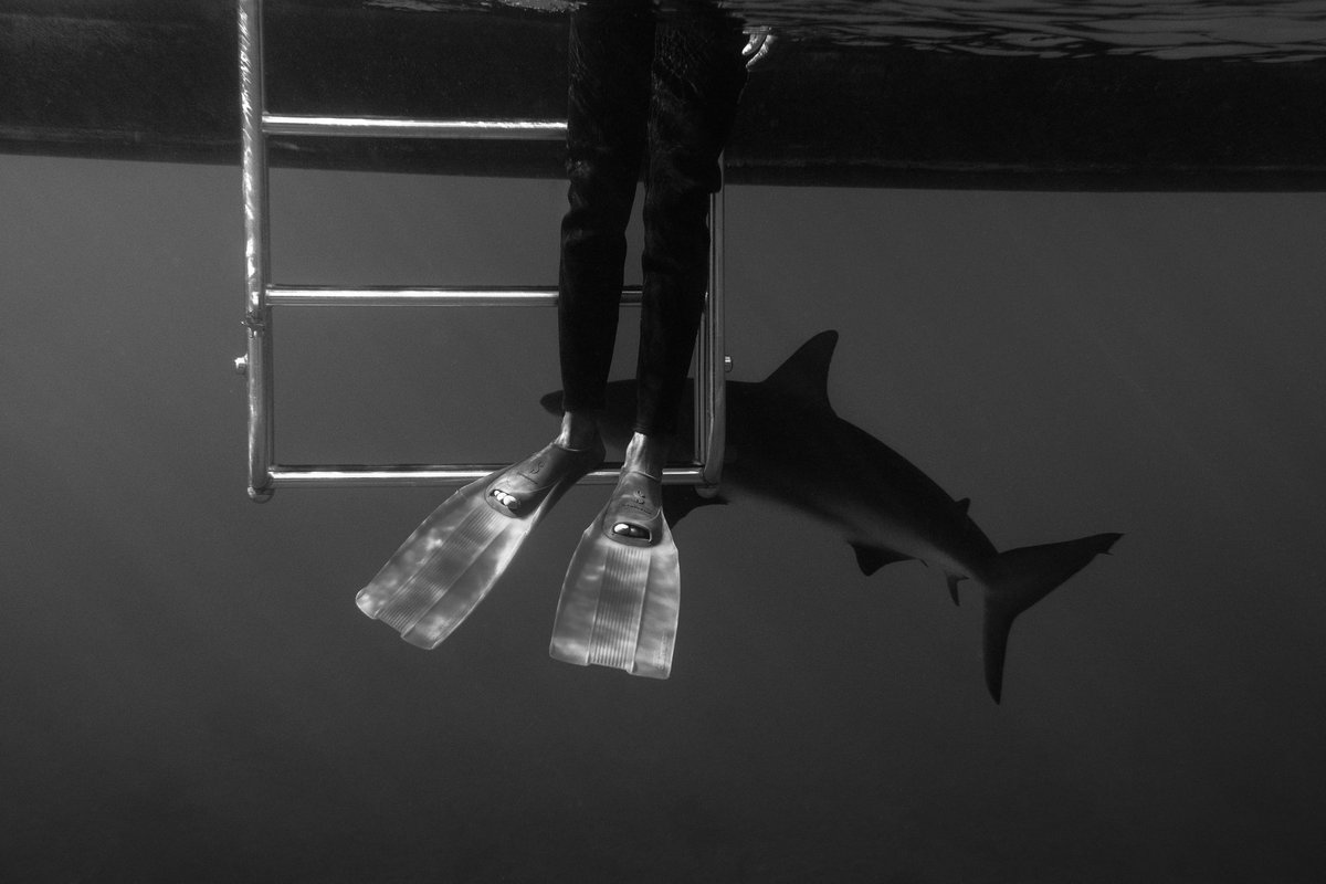 Art Underwater