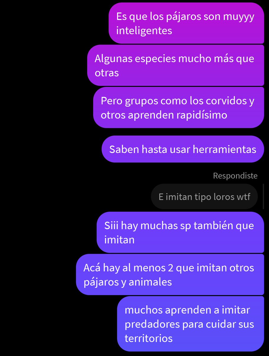 Jazmín del Monte tweet media