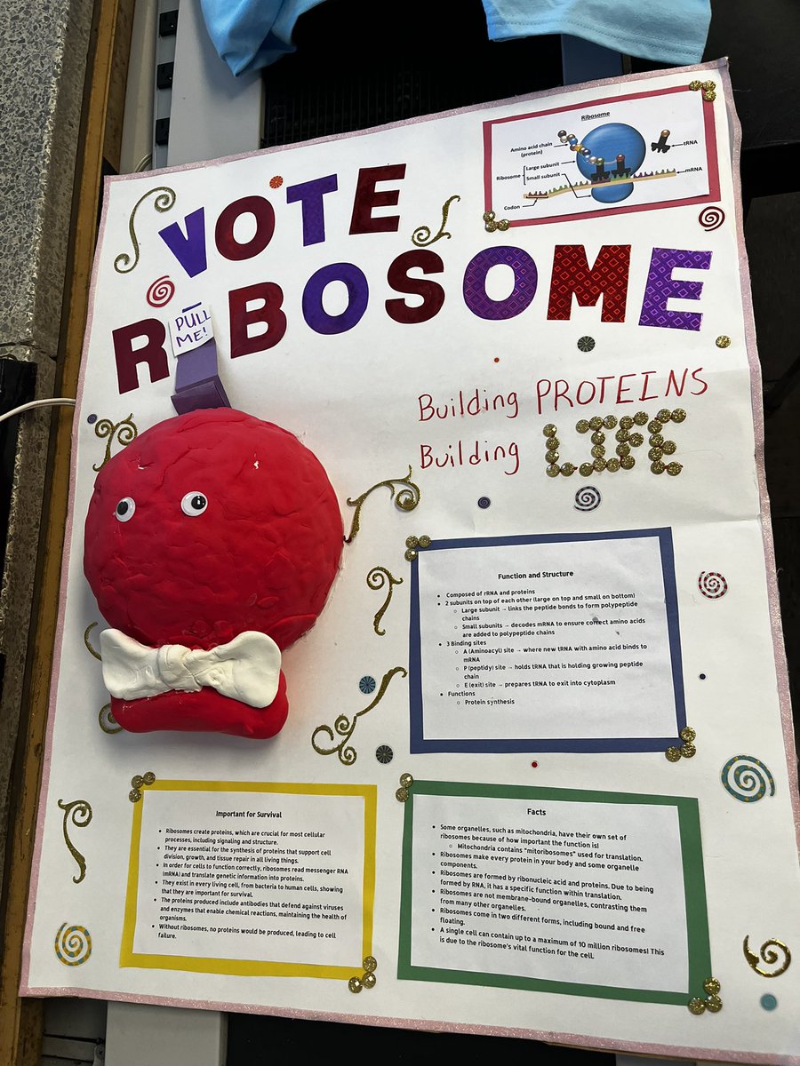 Vote Ribosome!! #CellabrateTheVote
<a href="/MsDSacco/">WHS SCIENCE</a>