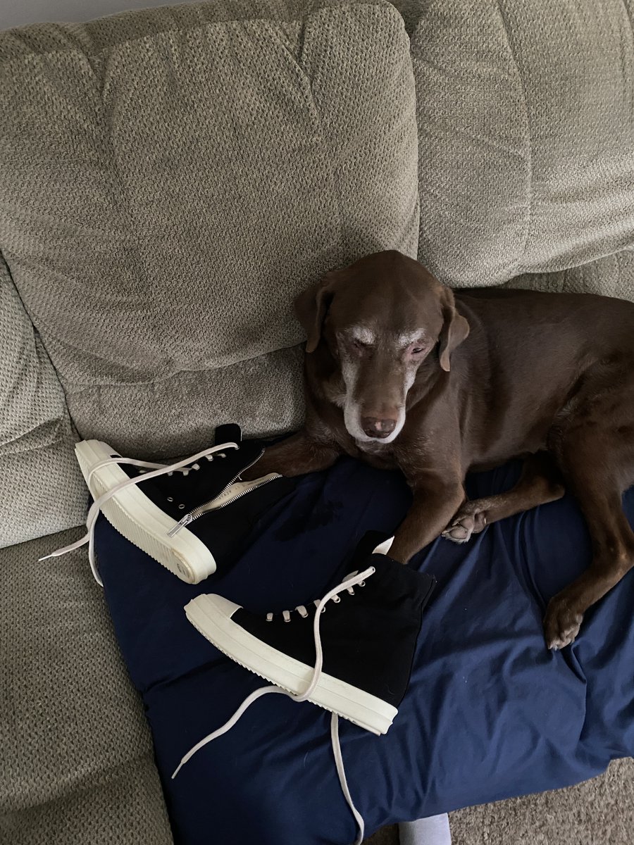 Dear Playboi Carti,

My Dog Snickers was such a huge fan of you, i put him onto your music when we rescued him in 2021. He has listened to all of your features, singles, fit pics, and billboards. He cried with me in times of radio silence, and cried in times of happiness when you