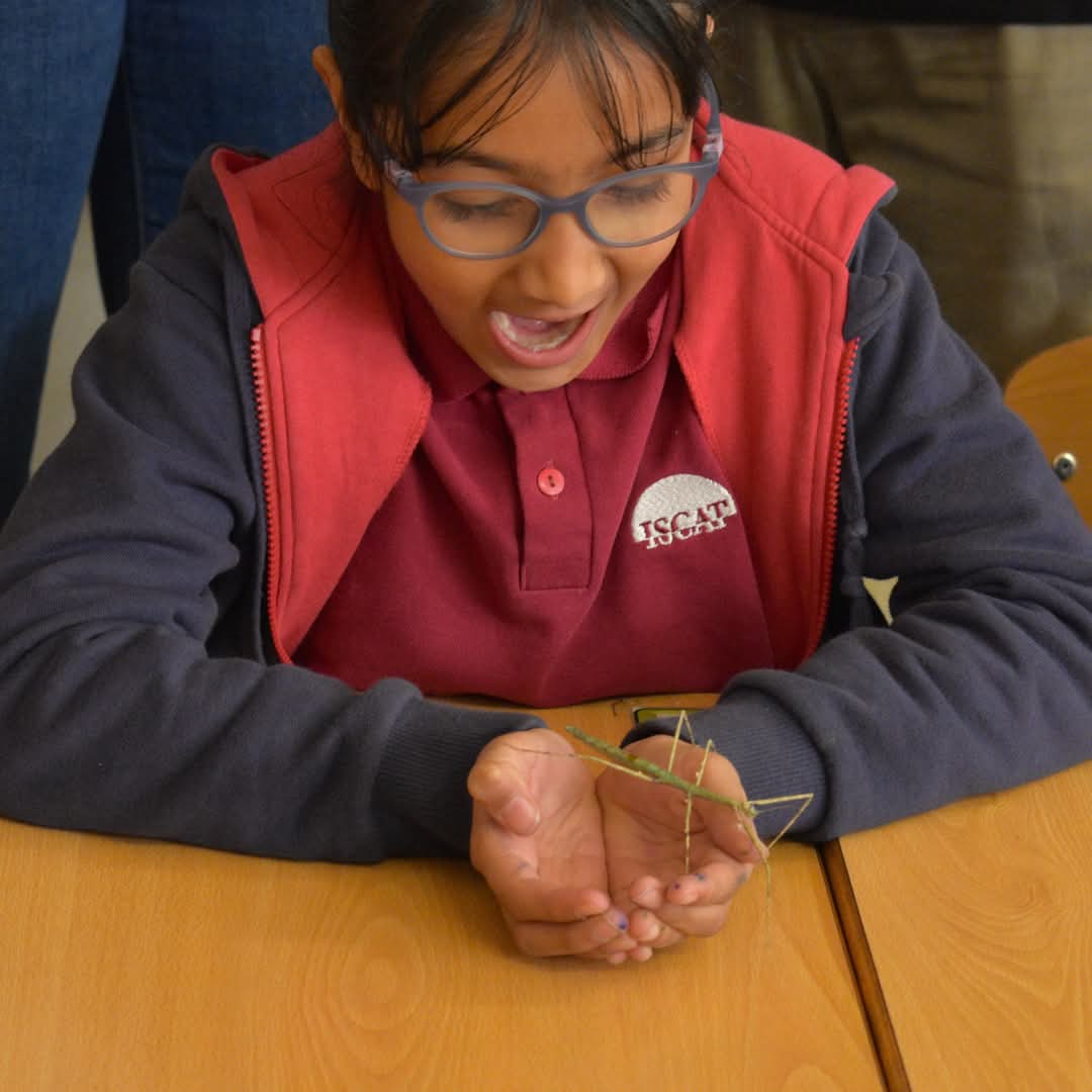 ISCAT_School's tweet photo. 🕷️Our Year 3-5 students explored the fascinating world of insects in an exciting Bugs Workshop led by Sergi Romeu from @mcngranollers. From stick insects to tarantulas, scorpions, &amp; snails, students learned about life cycles, diets, &amp; more! Many thanks Sergi! 💚 https://t.co/Il6jh5q2aI