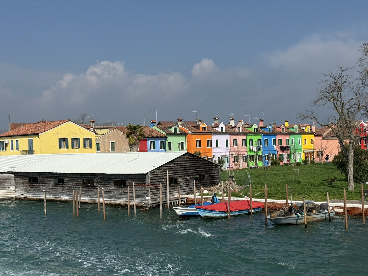 Marion Wildes tweet media