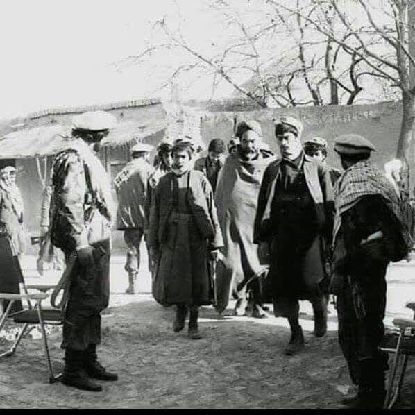 سید عباس علوی tweet media