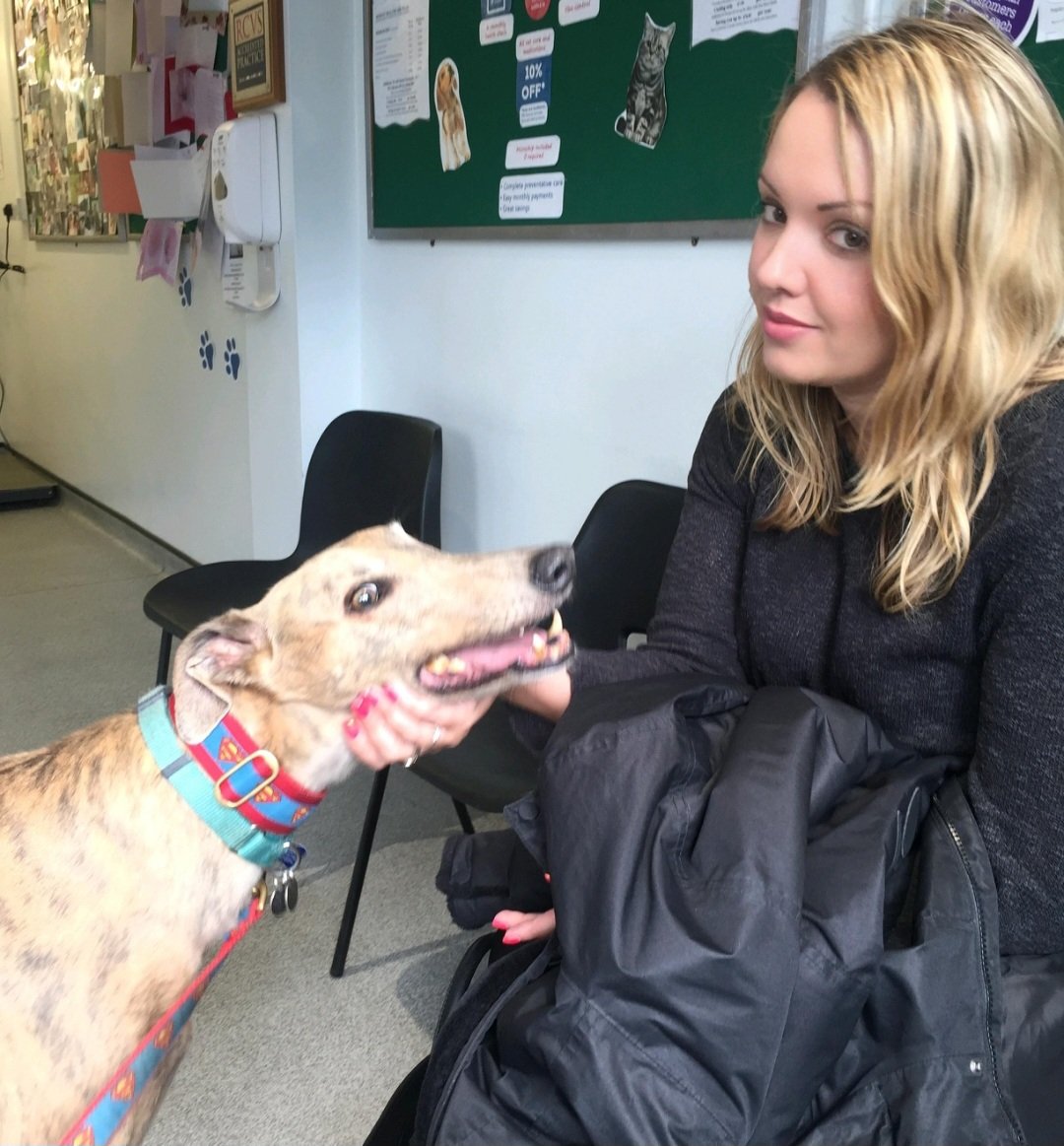 When u take your 13 Yr old child to the vets to get weighed and jabbed and he makes an absolute holy show of u as u literally have to drag him like you're the biggest abuser. Then he just looks at you like 'wha?' 🤦🏻‍♀️😫😭👍❤️