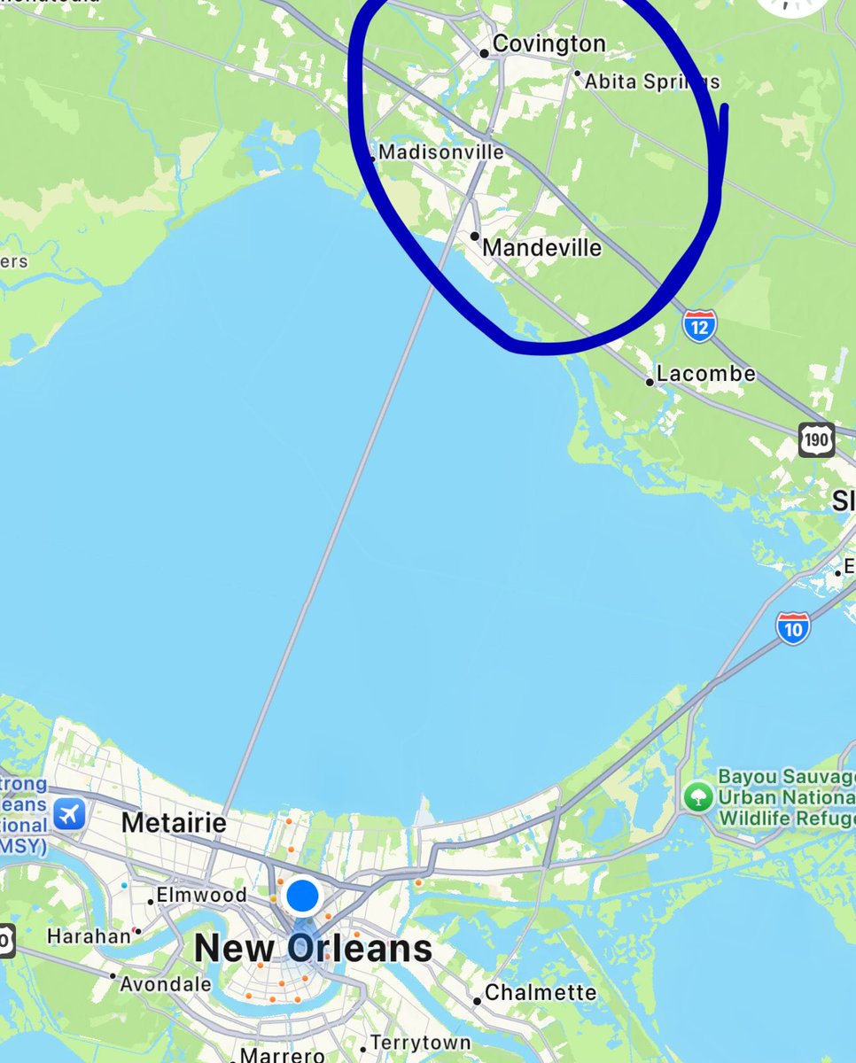 ✌🏼 (@jellyomlette) on Twitter photo 