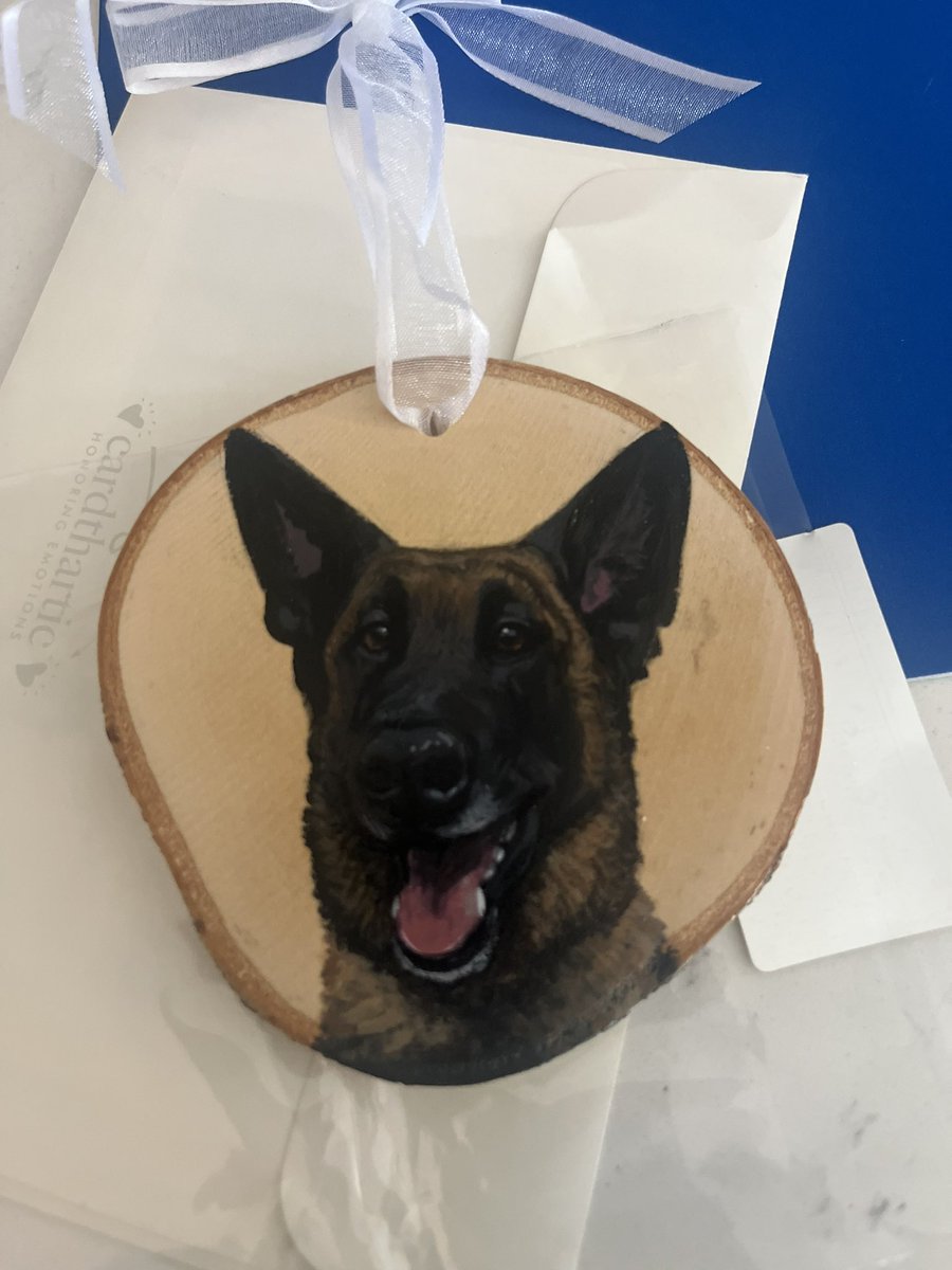 Today we went in to Woof and Wiskers our favorite pet supply store.  #supportlocal. And they gave me this amazing ornament of Tye and a card signed by the employees.  Brought a tear to my eye.  I will cherish it forever.