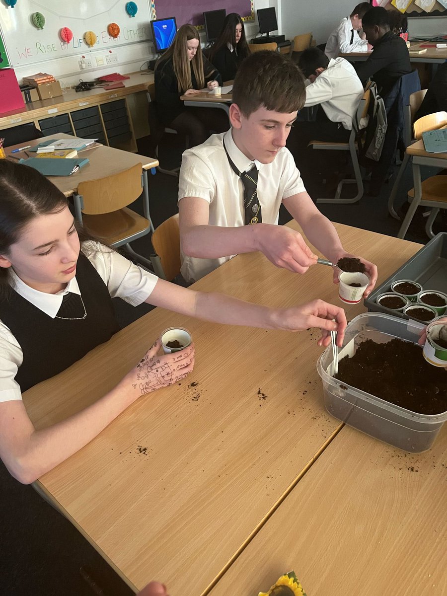 St Matthew's English tweet media