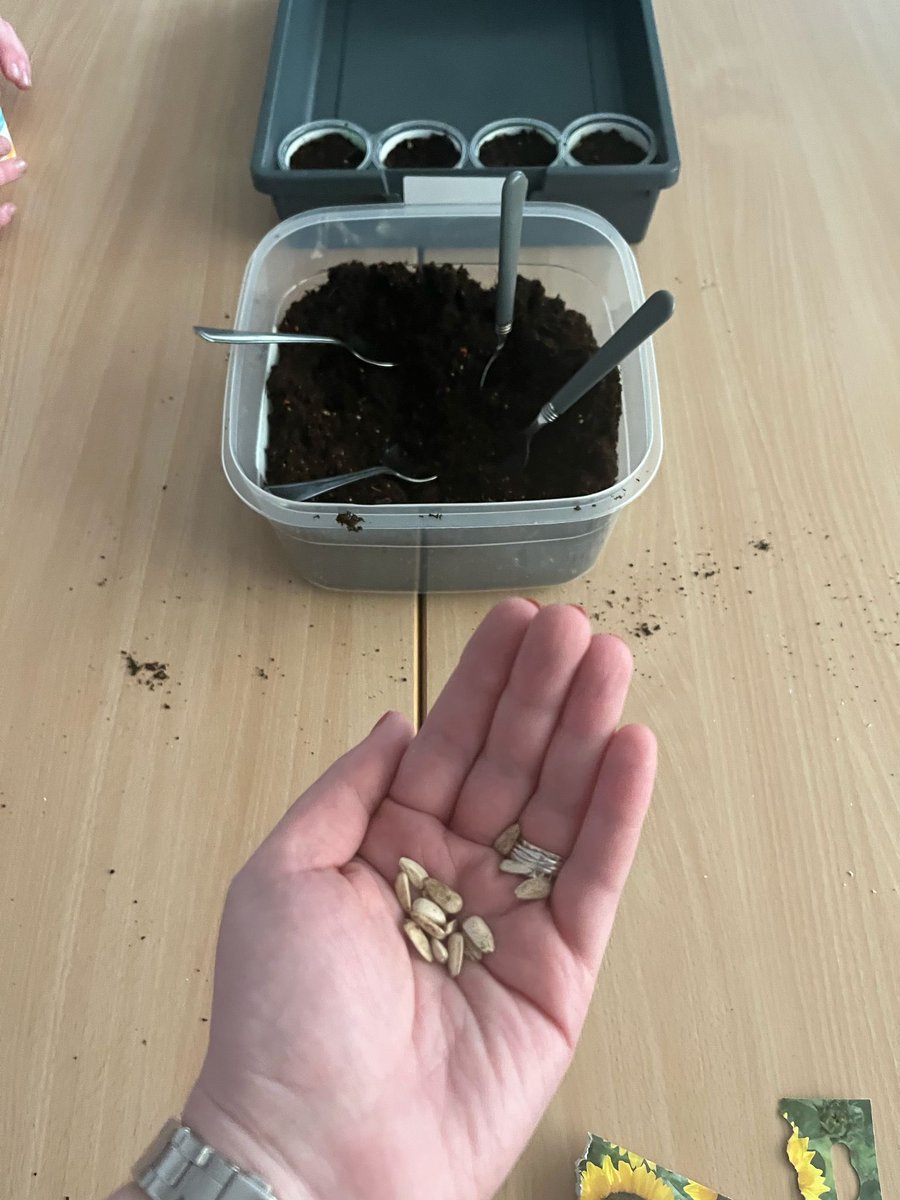 St Matthew's English tweet media