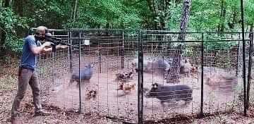 AdeaClaude's tweet image. Ces tarés qui disent aimer les bêtes et la nature.