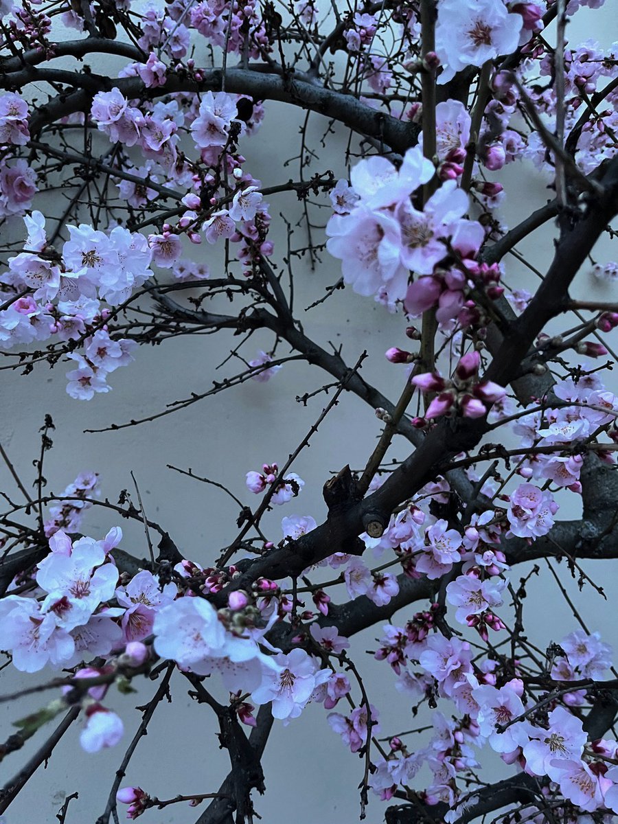 "In the big picture, architecture is the art&amp;science of making sure that our cities&amp;buildings fit with the way we want to live our lives."
»Im Großen&amp;Ganzen ist Architektur die Kunst&amp; Wissenschaft, dafür zu sorgen, dass unsere Städte&amp;Bauten zur Art passen, wie wir leben möchten.«