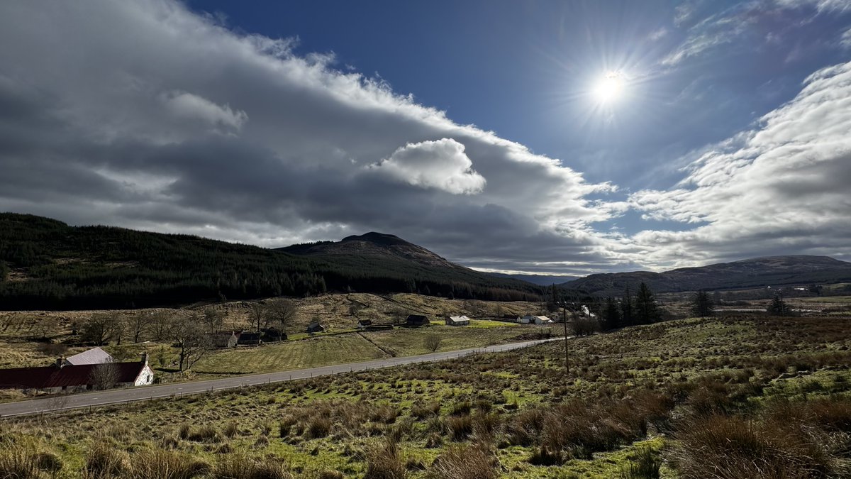 seonaidh mackenzie tweet media