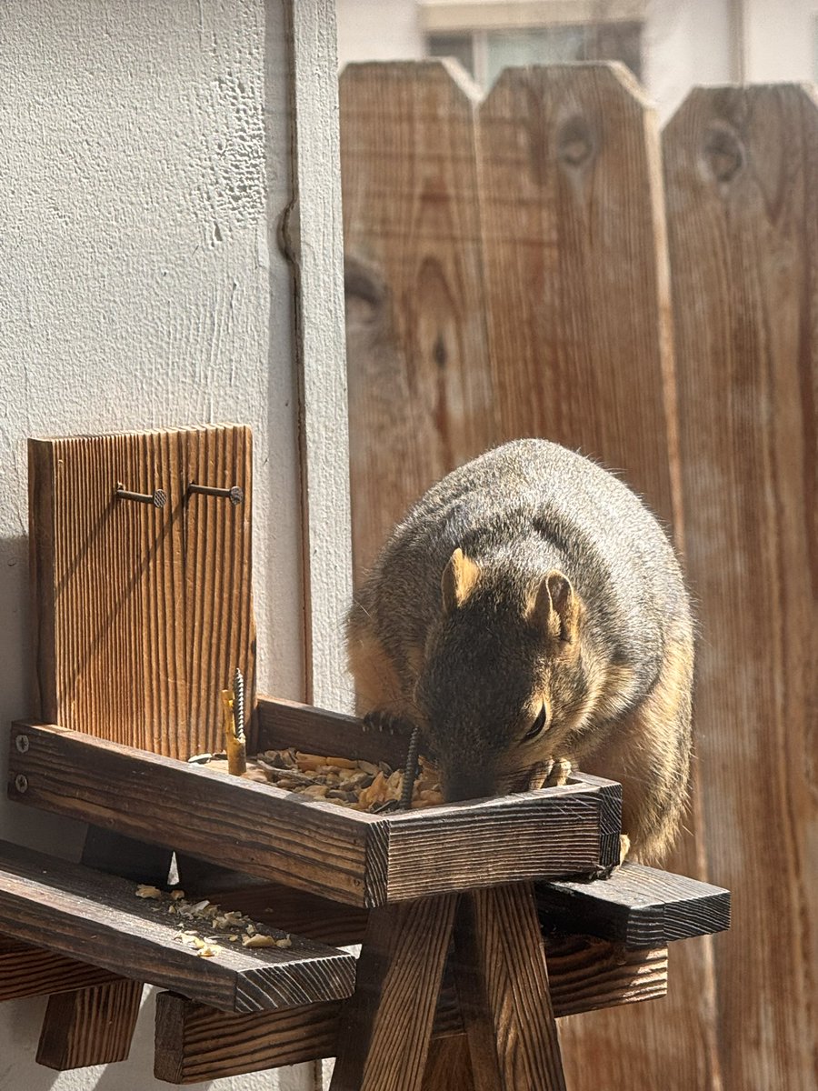 Patricia Ann Cameron, NREMT tweet media