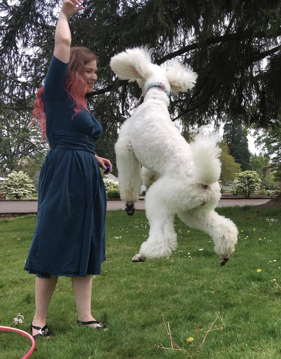 Elizabeth Luna tweet media