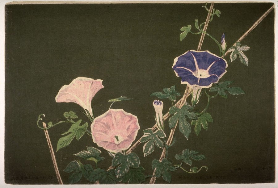 Morning Glories, by Kobayashi Kiyohcika, 1877
