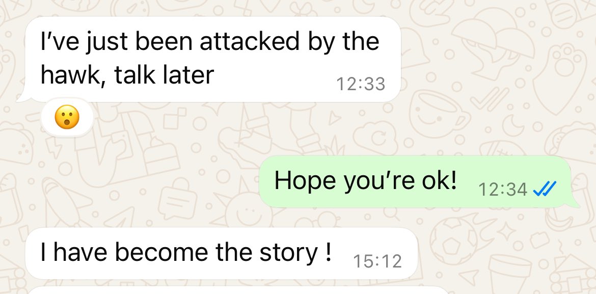 Sonja Jessup (@sonjajessup) on Twitter photo If you caught <a href="/BBCLondonNews/">BBC London</a> and <a href="/WendyHurrell/">Wendy Hurrell</a> earlier and marvelled at her extraordinary dive bombing hawk story.. this was the message I got from Richard the cameraman earlier today… 😦 (he’s ok!) If you caught <a href="/BBCLondonNews/">BBC London</a> and <a href="/WendyHurrell/">Wendy Hurrell</a> earlier and marvelled at her extraordinary dive bombing hawk story.. this was the message I got from Richard the cameraman earlier today… 😦 (he’s ok!)