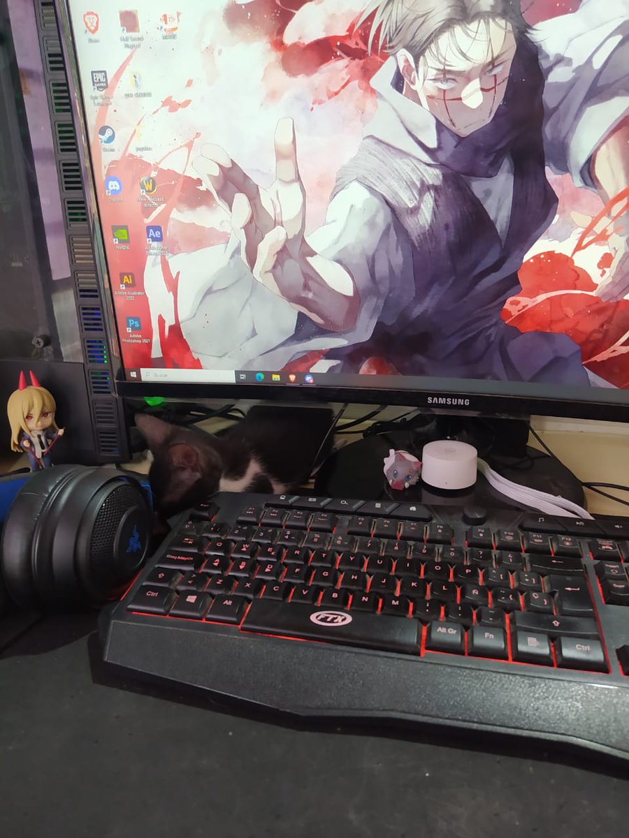 Natalia Ginzo tweet media