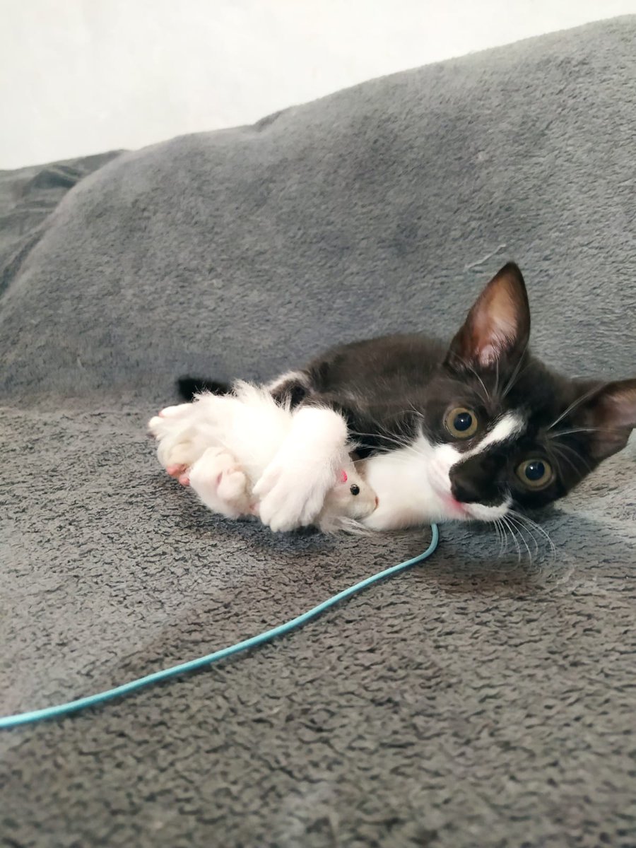 Natalia Ginzo tweet media