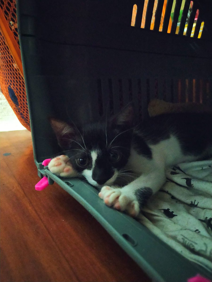 Natalia Ginzo tweet media