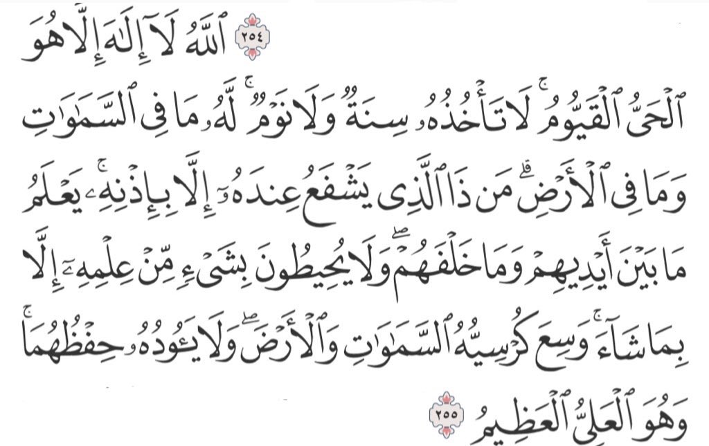 فَ 𐙚 tweet media