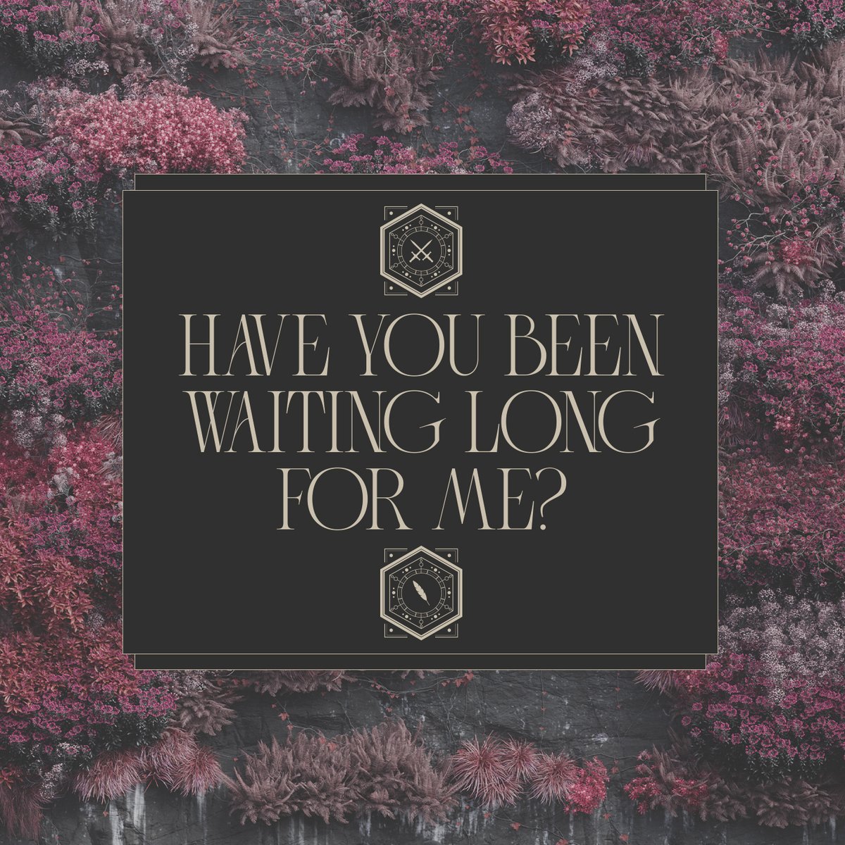 TargetCenterMN's tweet image. 