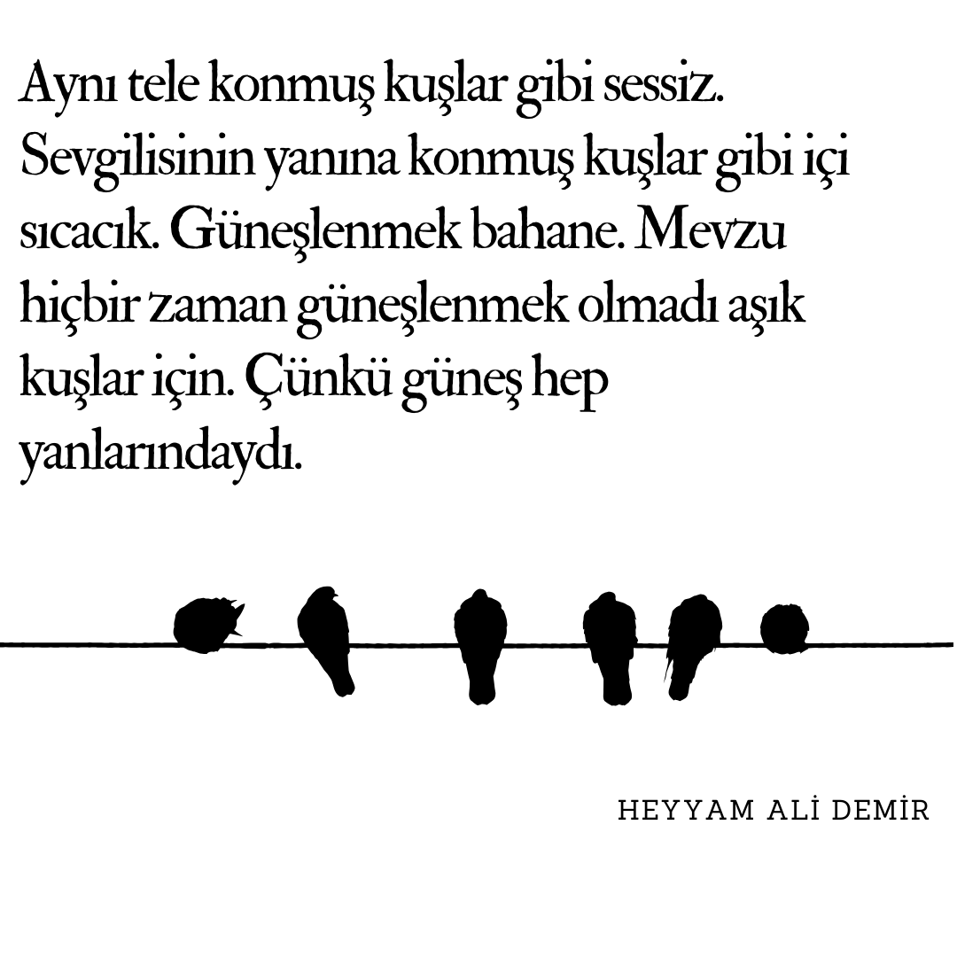 aliheyyam's tweet photo. https://t.co/6oqhpyA3Nu