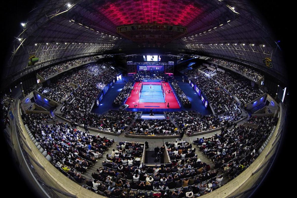 Carlota Palma tweet media