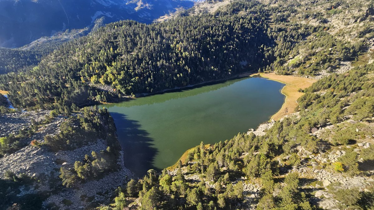 📢 Noves ofertes de treball a Forestal Catalana, SA! 🌿🏔️🏞
Si vols treballar al Parc Natural de l’Alt Pirineu i contribuir a la preservació del medi ambient, tenim 2 oportunitats per a tu! ⬇️ 
#Feina #PNAltPirineu #NextGeneration