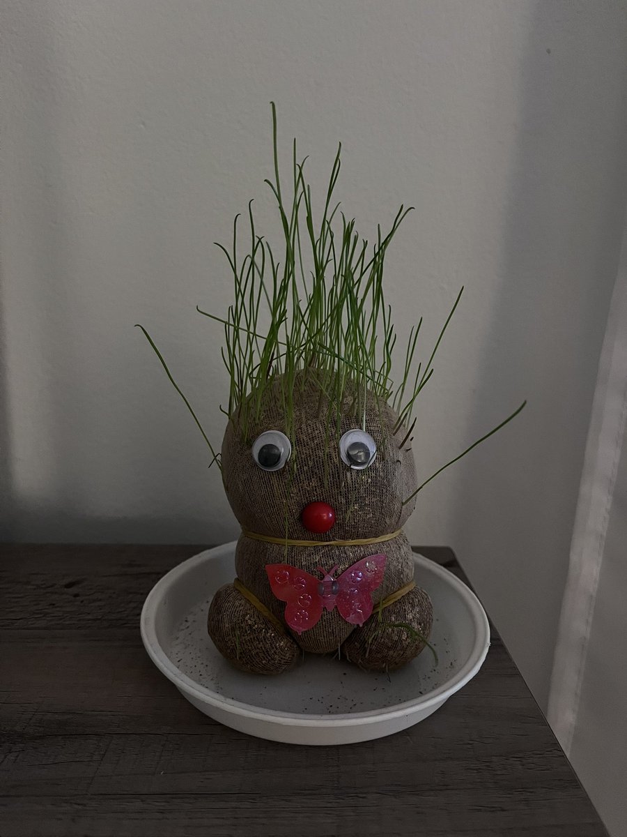 CharleyDavo's tweet photo. @SouthfieldFS Rory also wanted me to show you his “gingerbread man’s” hair… he started bald now he almost has a full head of grass hair after lots of watering 😁👍🏼 https://t.co/gFwXtP0hTl