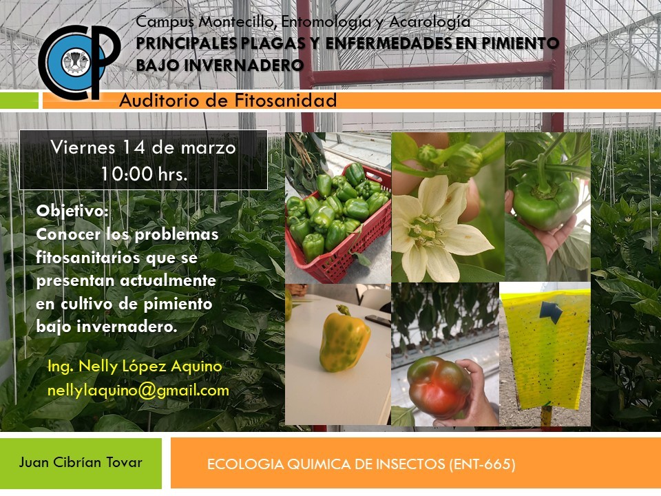 colpos's tweet photo. #Invitación platica - PRINCIPALES PLAGAS Y ENFERMEDADES EN PIMIENTO BAJO INVERNADERO 14 de marzo. #Campus #Montecillo Presencial https://t.co/XLNIjpH8nF