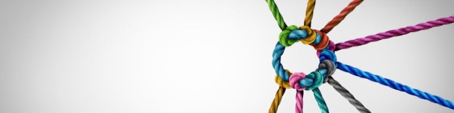 LSA is accepting nominations, including self-nominations, for Vice President/President-Elect and at-large Executive Committee members. This is an opportunity to contribute to the governance and strategic direction of the LSA.

Serving on the EC is a meaningful way to support the