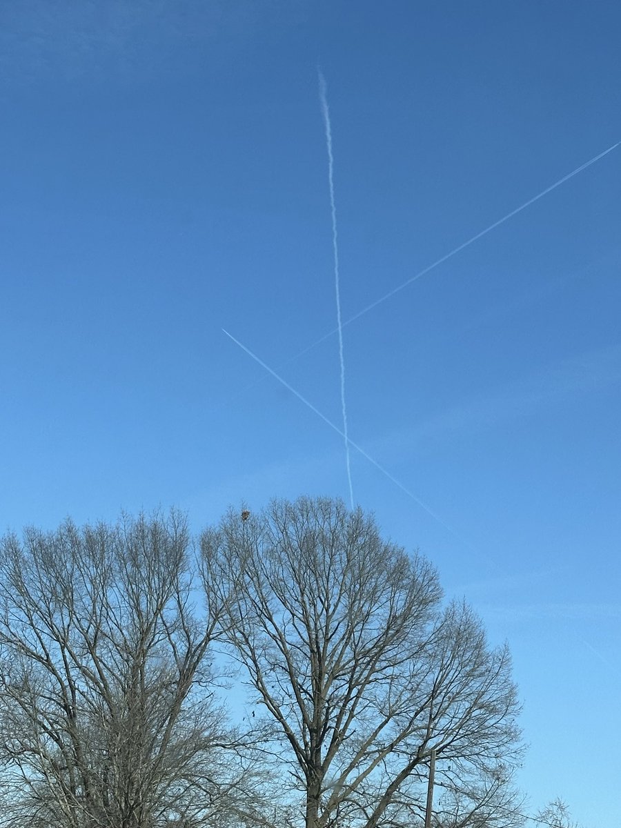 xPostalPapi's tweet image. What are they making ?