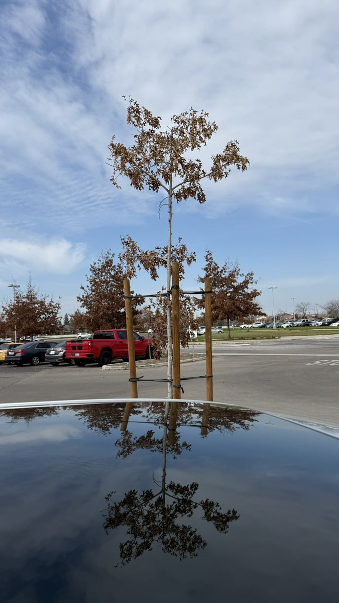 Dᴀɴɪᴇʟ Gᴜᴛɪᴇ́ʀʀᴇᴢ Áᴠɪʟᴀ (@gutierrezavilad) on Twitter photo 