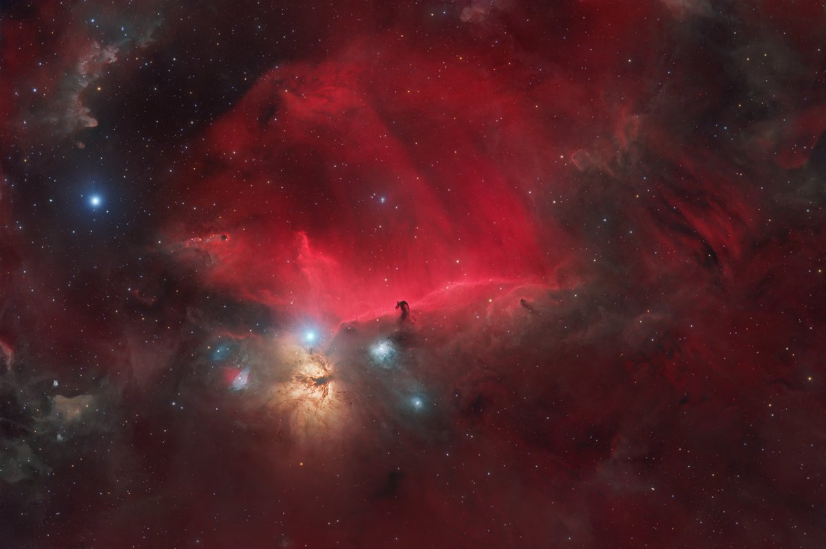 Voici Barnard 33, une des nébuleuses les plus iconiques de notre ciel : elle représente la tête d'un cheval en ombre chinoise, grâce à l'hydrogène en arrière plan, la nébuleuse obscure se révèle aisément ! 
Crédit : team F.A.C.T 🇫🇷