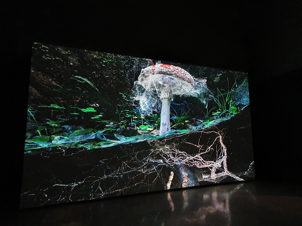 I spent a lovely afternoon at the soil exhibition in the beautiful <a href="/SomersetHouse/">Somerset House</a> with a range of captivating displays and videos, it is well worth a visit!