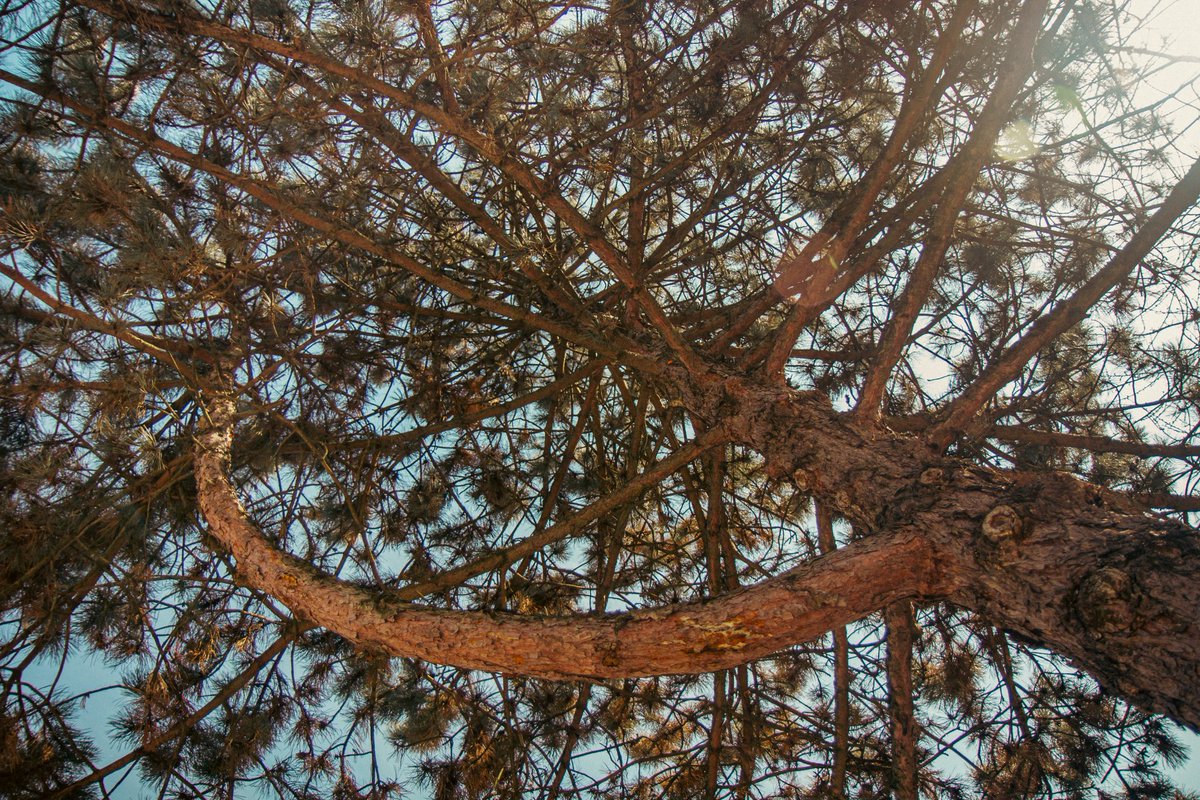 DMY033's tweet image. Привёз несколько фото из Landschaftspark Duisburg.