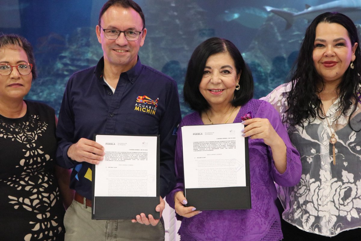 MGM Noticias tweet media