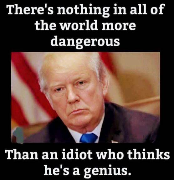 Nothing is more dangerous! Who agrees? 🙋‍♀️🙋🙋‍♂️